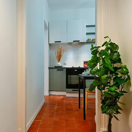 Flora - Hypercentral Trip Cozy - By Tgb * Ajaccio (Corsica)